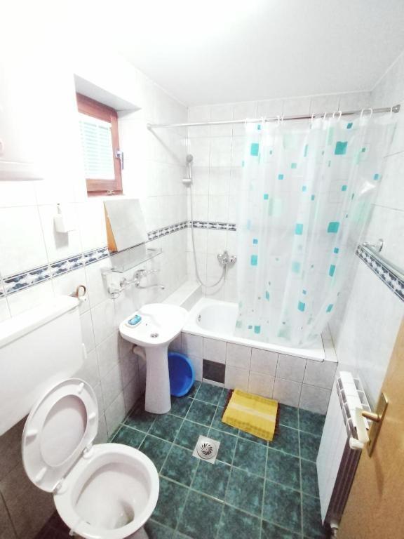 Vila Zoran Zlatibor Ngoại thất bức ảnh