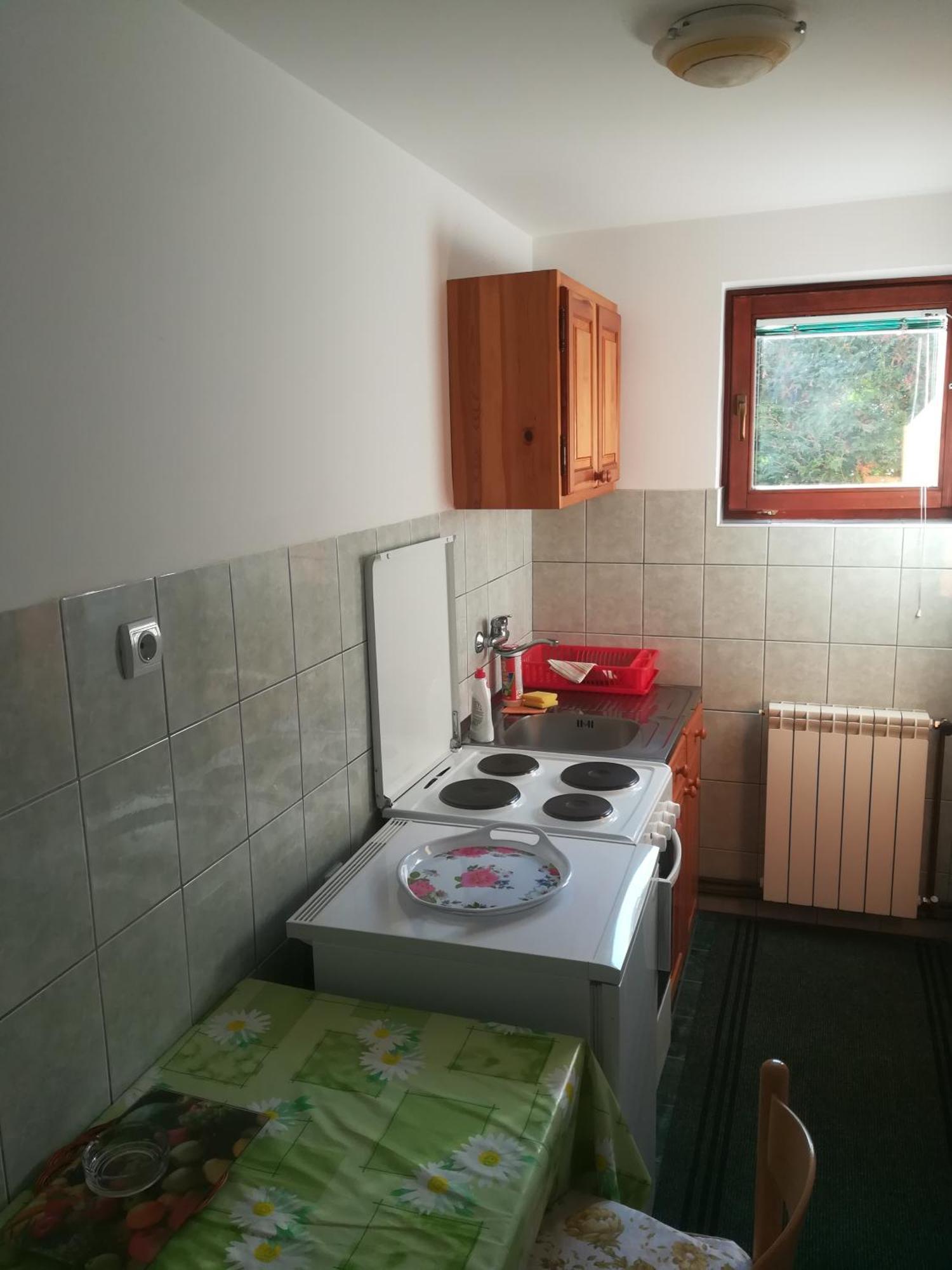 Vila Zoran Zlatibor Ngoại thất bức ảnh